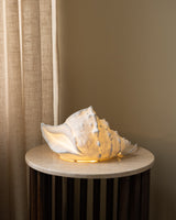 Table Lamp Shell