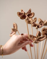 Dried Flower Cartoos - SET OF 10