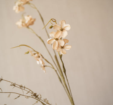 Faux Flower Jasmine Beige