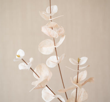 Faux Flower Eucalyptus Beige