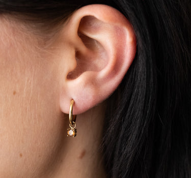 TILTIL Set of 2 Teddy Zircon Earrings Brown Gold