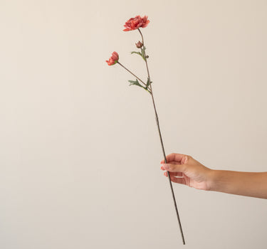 Artificial Ranunculus Pink