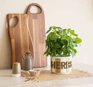 Kräutertopf Herbs Keramik Grün