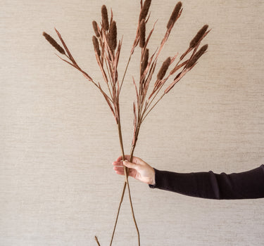 Artificial Typha Brown