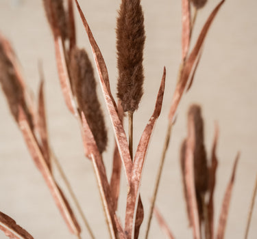 Artificial Typha Brown