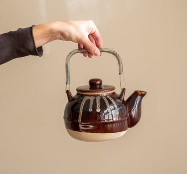 Handmade Japanese Teapot Amesuzu Brown