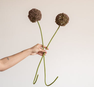 Bloomingville Faux Flower Allium Stem Brown - Things I Like Things I Love