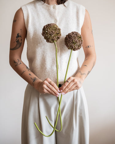 Bloomingville Faux Flower Allium Stem Brown - Things I Like Things I Love