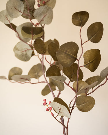 Bloomingville - Faux Flower Eucalyptus Brown - Things I Like Things I Love