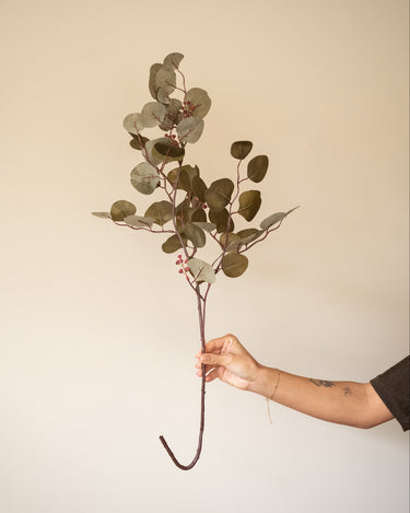Bloomingville - Kunstblume Eukalyptus Braun