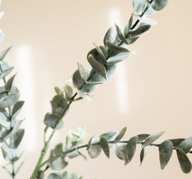 Bloomingville - Faux Flower Eucalyptus Stem - Things I Like Things I Love
