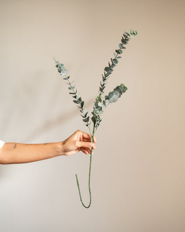 Bloomingville - Faux Flower Eucalyptus Stem - Things I Like Things I Love
