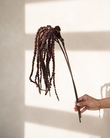 Bloomingville - Faux Flower Foxtail Stem - Things I Like Things I Love