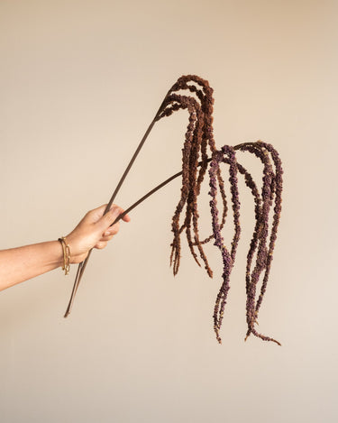 Bloomingville - Faux Flower Foxtail Stem - Things I Like Things I Love