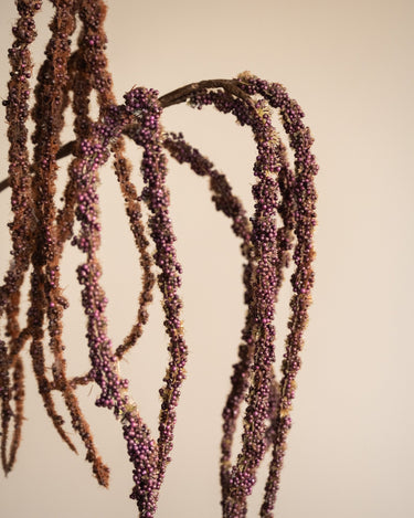 Bloomingville - Faux Flower Foxtail Stem - Things I Like Things I Love