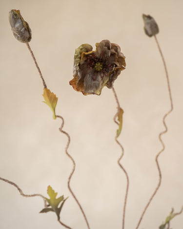 Bloomingville - Faux Flower Poppy Stem Brown - Things I Like Things I Love