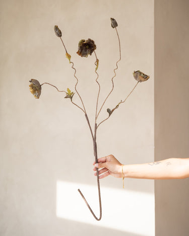 Bloomingville - Faux Flower Poppy Stem Brown - Things I Like Things I Love