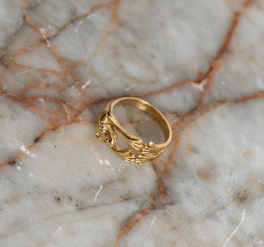 Brass Frog Ring Gold - Things I Like Things I Love