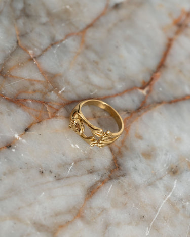 Brass Frog Ring Gold - Things I Like Things I Love