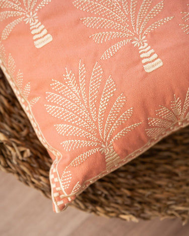 Cushion Cycas Palm Trees - Things I Like Things I Love