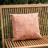 Cushion Cycas Palm Trees - Things I Like Things I Love