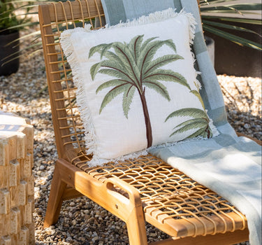 Cushion Palm Tree Miami - Things I Like Things I Love