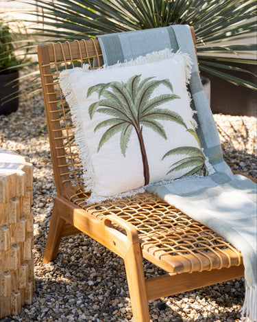Cushion Palm Tree Miami - Things I Like Things I Love
