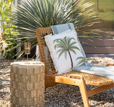 Cushion Palm Tree Miami - Things I Like Things I Love