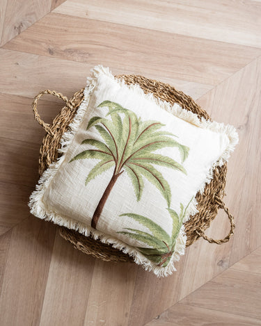 Cushion Palm Tree Miami - Things I Like Things I Love