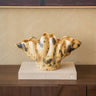 Deco Bowl Marine Shell Speckled - Things I Like Things I Love