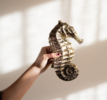 Deco Box Seahorse - Things I Like Things I Love