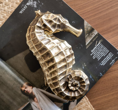 Deco Box Seahorse - Things I Like Things I Love