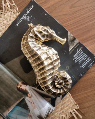 Deco Box Seahorse - Things I Like Things I Love