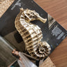 Deco Box Seahorse - Things I Like Things I Love