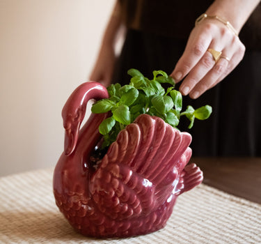 Deco Planter Swan Burgundy - Things I Like Things I Love