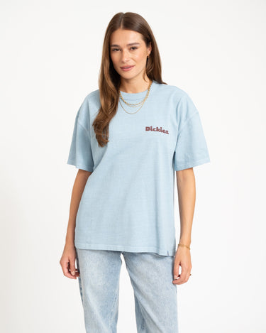 Dickies Slayden Tee Glacier Lake - Things I Like Things I Love