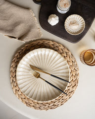 Dinner Plate Astera - Things I Like Things I Love