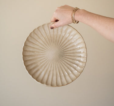 Dinner Plate Astera - Things I Like Things I Love