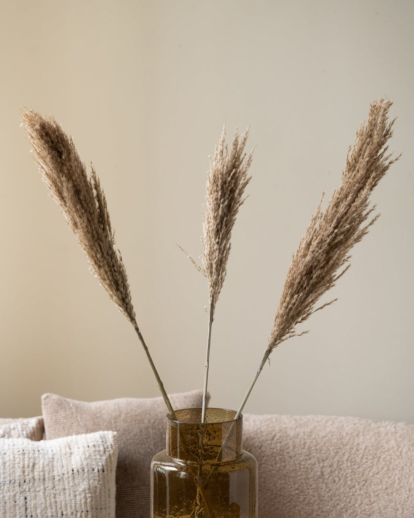Dried Flowers Pampas Stem Natural (SET OF 3) - Things I Like Things I Love