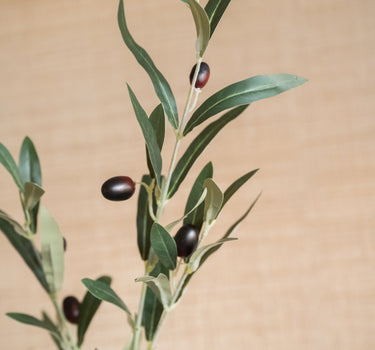 Faux Branch Olive - Things I Like Things I Love