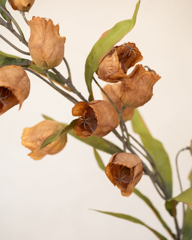 Faux Flower Abutilon Orange - Things I Like Things I Love