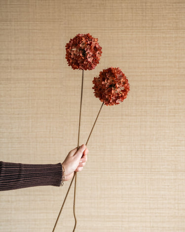 Faux Flower Allium Terra - Things I Like Things I Love