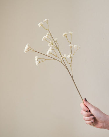 Faux Flower Baby Breath Brown/White - Things I Like Things I Love