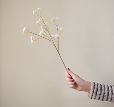 Faux Flower Baby Breath Brown/White - Things I Like Things I Love