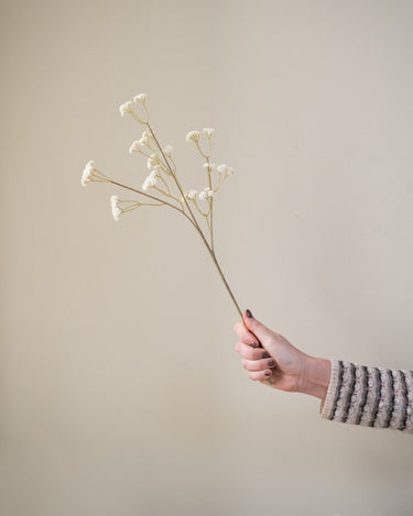 Faux Flower Baby Breath Brown/White - Things I Like Things I Love