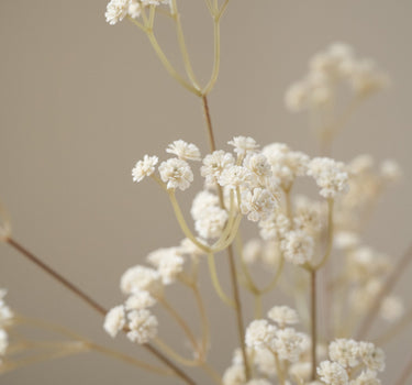 Faux Flower Baby Breath Brown/White - Things I Like Things I Love