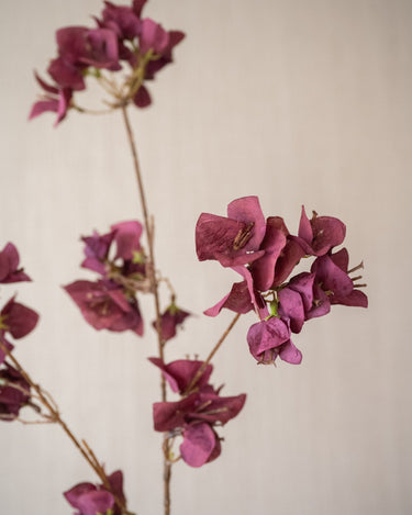 Faux Flower Bougainvillea Burgundy - Things I Like Things I Love