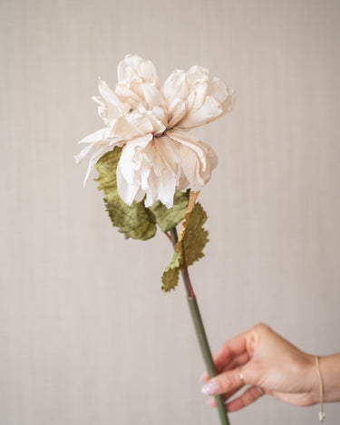 Faux Flower Dahlia Beige - Things I Like Things I Love