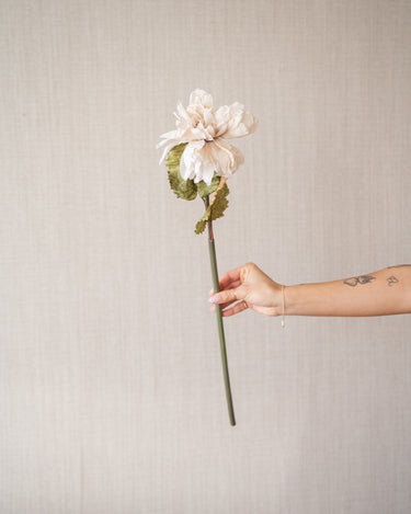 Faux Flower Dahlia Beige - Things I Like Things I Love