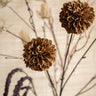 Faux Flower Dahlia Caramel Brown - Things I Like Things I Love